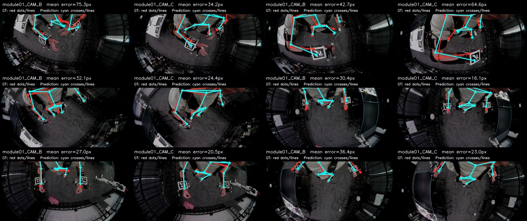 Egocentric fisheye pose predictions compared with projected ground truth across multiple camera views