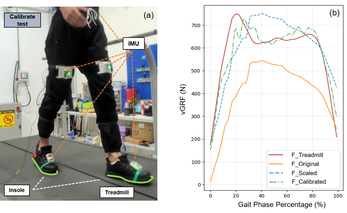 Insole calibration experiment on a force-measuring treadmill and force curves before and after calibration