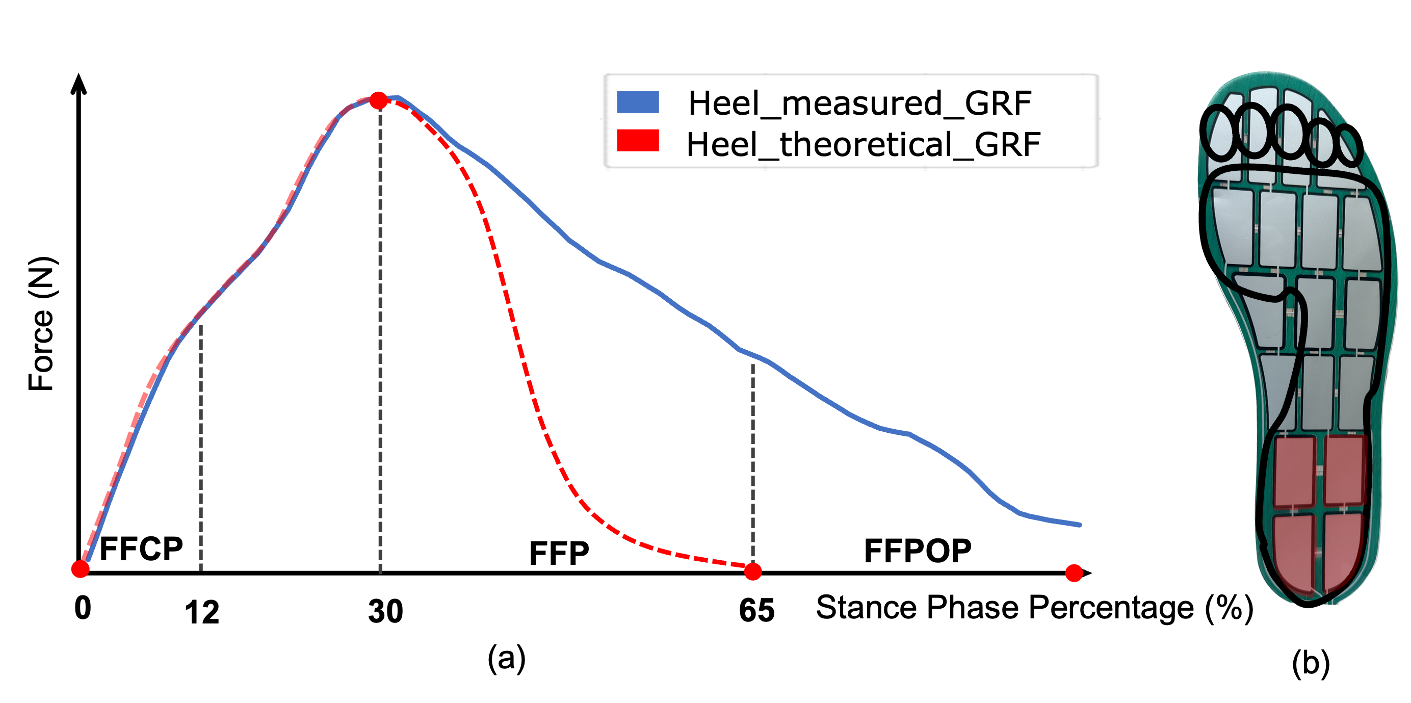 Physical behavior of the resistive insole sensors across the stance phase