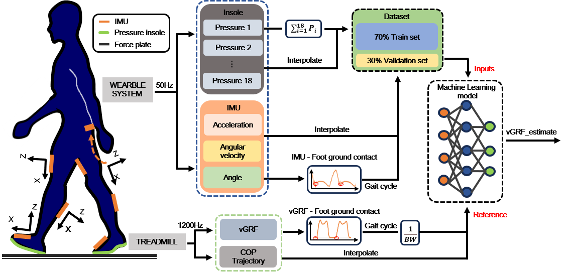Wearable insole sensing, reference-force acquisition, dataset processing, and model calibration pipeline